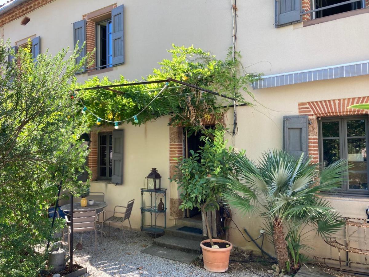 16 Bis-Gite-Hotel-Studio Marssac-sur-Tarn Kültér fotó