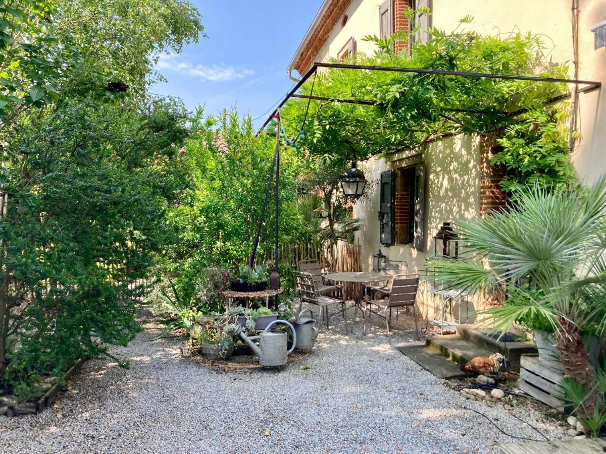 16 Bis-Gite-Hotel-Studio Marssac-sur-Tarn Kültér fotó